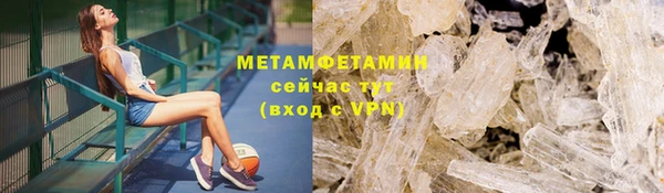 дживик Ельня