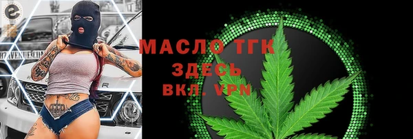 прущие грибы Елабуга