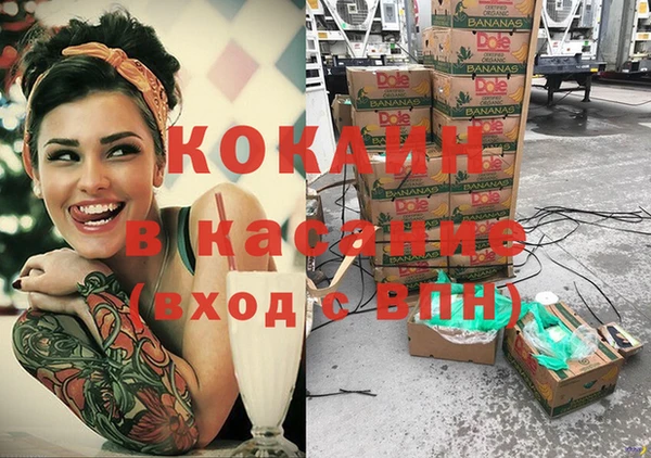 прущие грибы Лиски