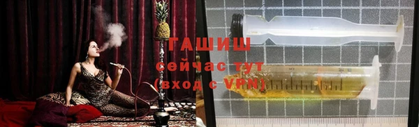 дживик Ельня