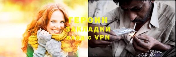прущие грибы Елабуга