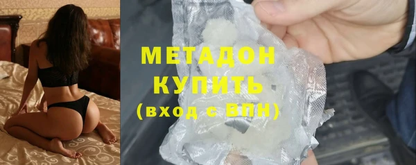 прущие грибы Елабуга