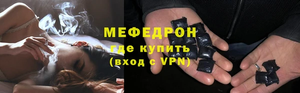 дживик Ельня