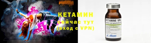 дживик Ельня