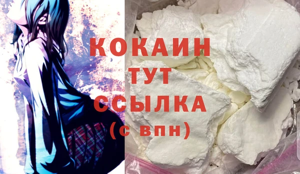 прущие грибы Елабуга