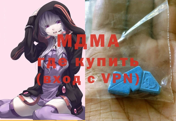 дживик Ельня