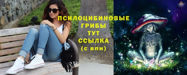 прущие грибы Лиски