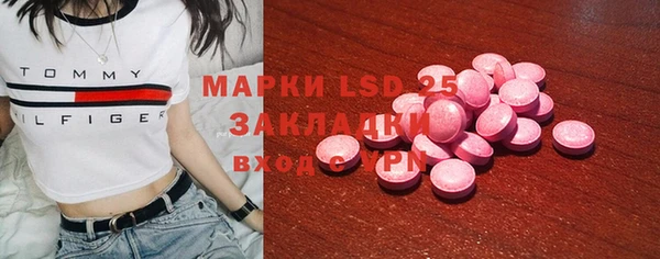 дживик Ельня