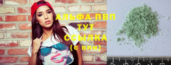 дживик Ельня