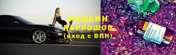 прущие грибы Елабуга