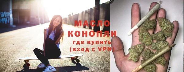 дживик Ельня