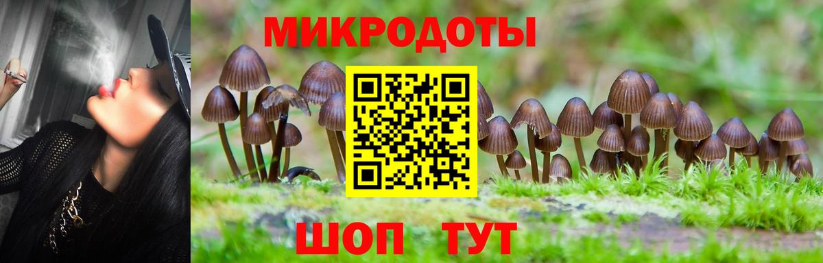 Галлюциногенные грибы прущие грибы  Галлюциногенные грибы ЛСД  Реж  Вход с VPN 